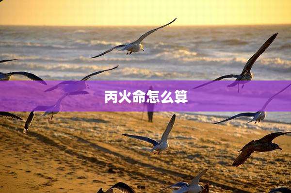 丙火命怎么算