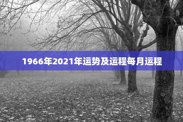 1966年2021年运势及运程每月运程