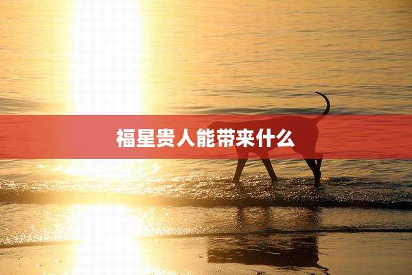 福星贵人能带来什么