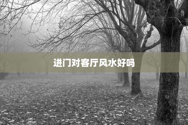 进门对客厅风水好吗