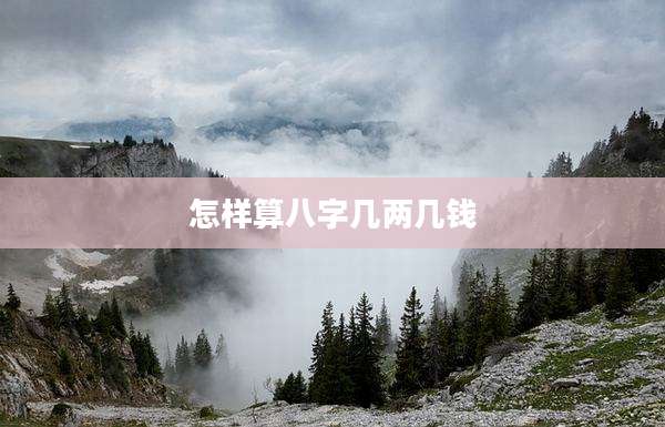怎样算八字几两几钱