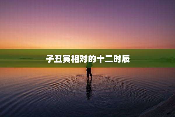 子丑寅相对的十二时辰