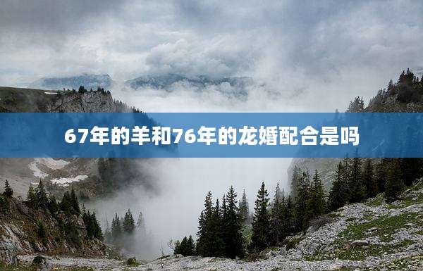 67年的羊和76年的龙婚配合是吗