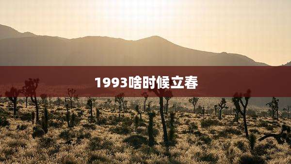 1993啥时候立春