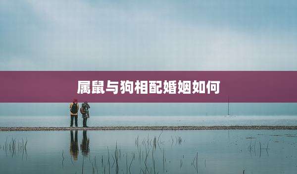 属鼠与狗相配婚姻如何