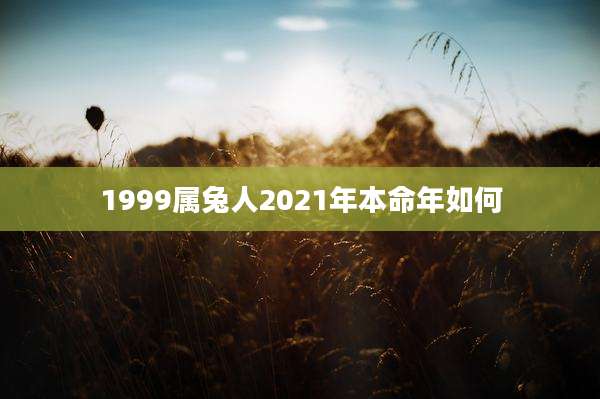 1999属兔人2021年本命年如何