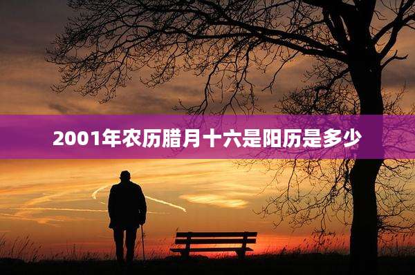 2001年农历腊月十六是阳历是多少