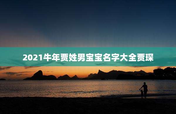 2021牛年贾姓男宝宝名字大全贾琛