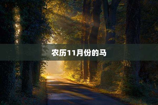 农历11月份的马