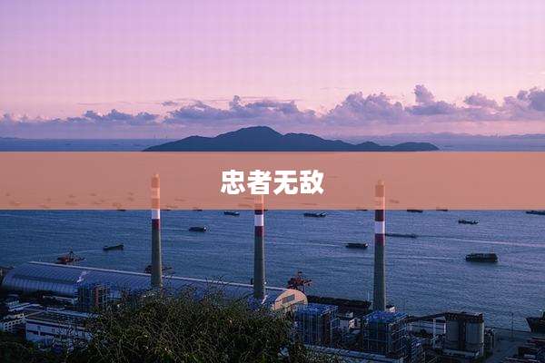 忠者无敌