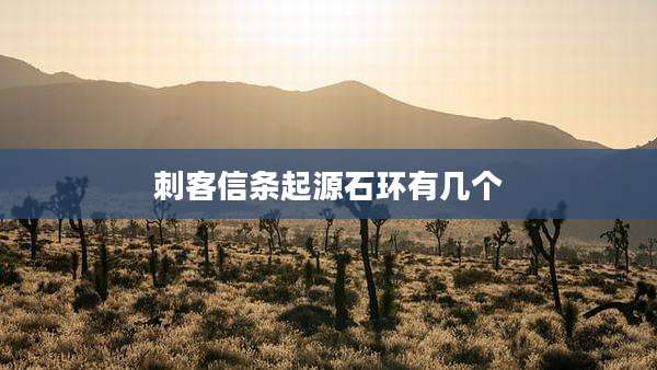 刺客信条起源石环有几个