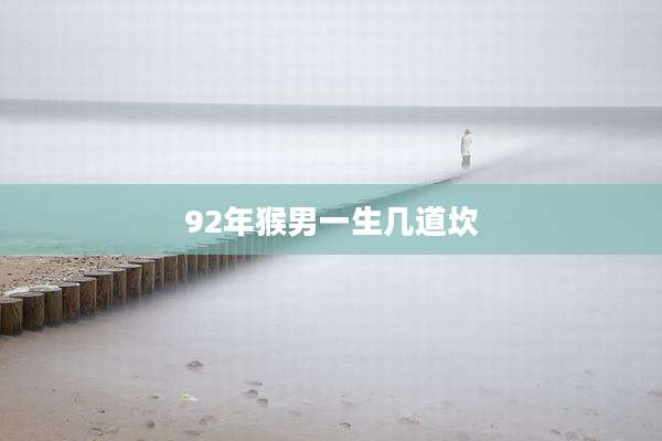 92年猴男一生几道坎
