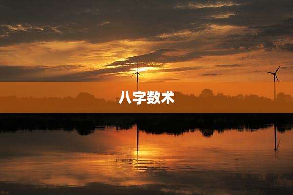 八字数术