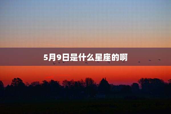 5月9日是什么星座的啊