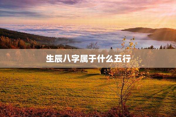 生辰八字属于什么五行