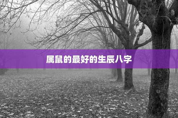 属鼠的最好的生辰八字