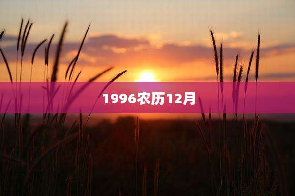 1996农历12月