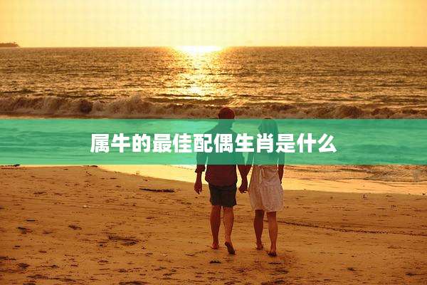 属牛的最佳配偶生肖是什么