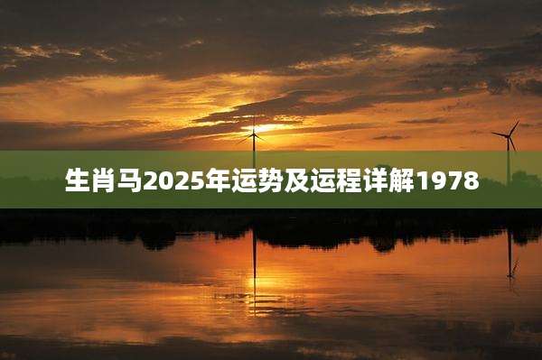 生肖马2025年运势及运程详解1978
