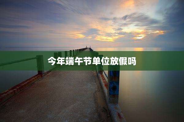 今年端午节单位放假吗