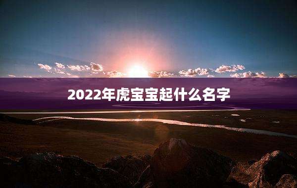 2022年虎宝宝起什么名字