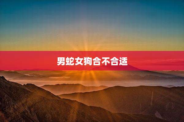 男蛇女狗合不合适