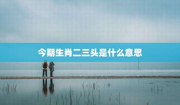 今期生肖二三头是什么意思