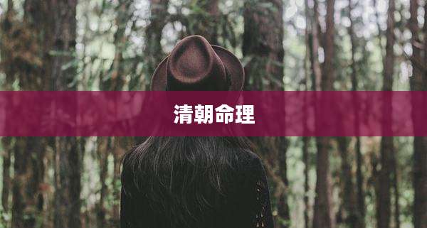清朝命理