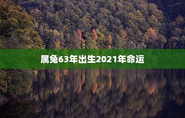 属兔63年出生2021年命运