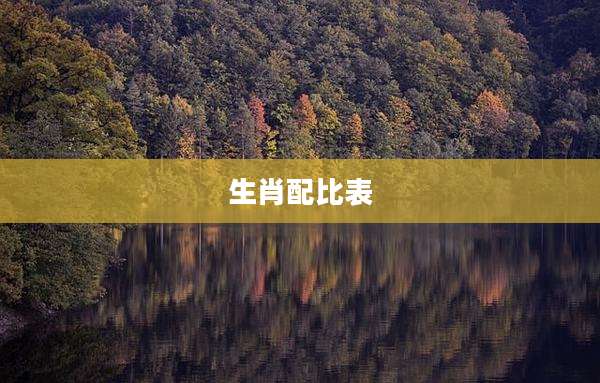 生肖配比表