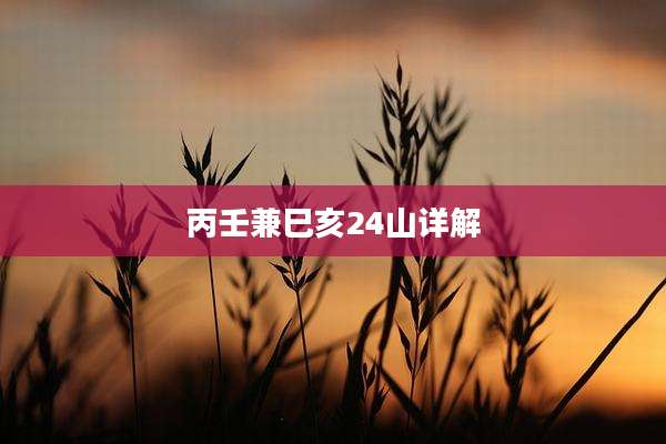 丙壬兼巳亥24山详解