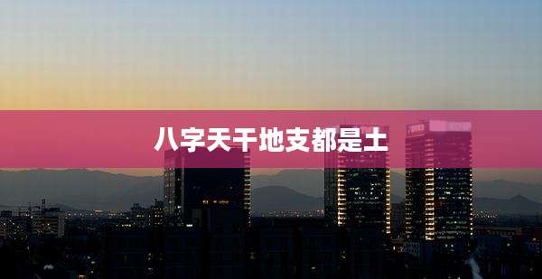 八字天干地支都是土