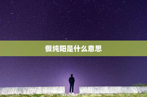 假纯阳是什么意思