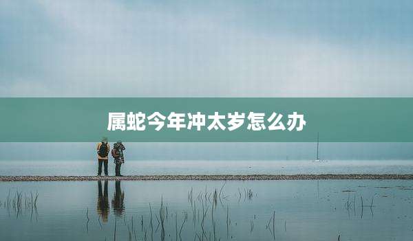 属蛇今年冲太岁怎么办