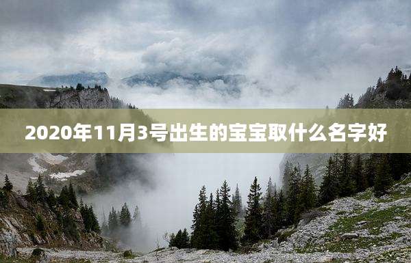 2020年11月3号出生的宝宝取什么名字好