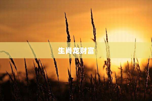 生肖龙财富
