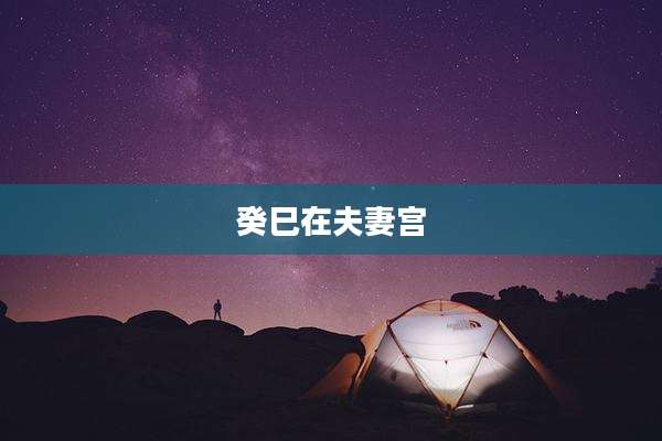 癸巳在夫妻宫