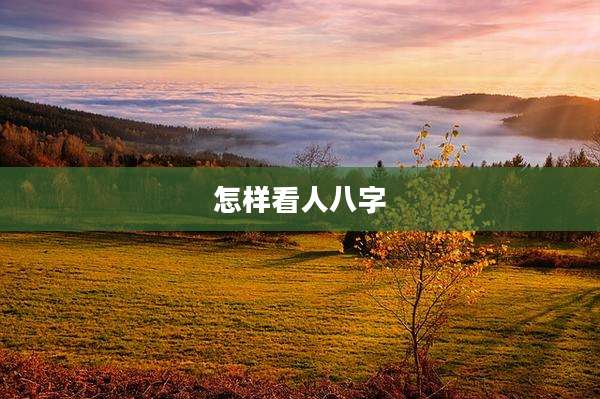 怎样看人八字