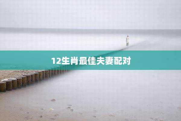 12生肖最佳夫妻配对