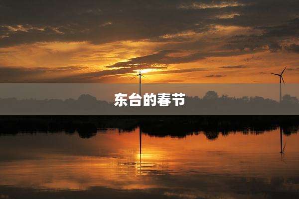 东台的春节