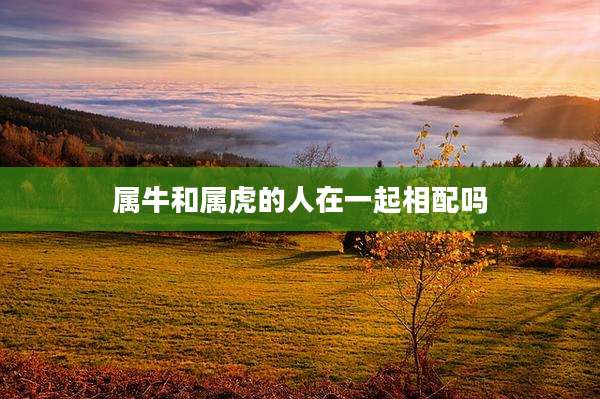 属牛和属虎的人在一起相配吗