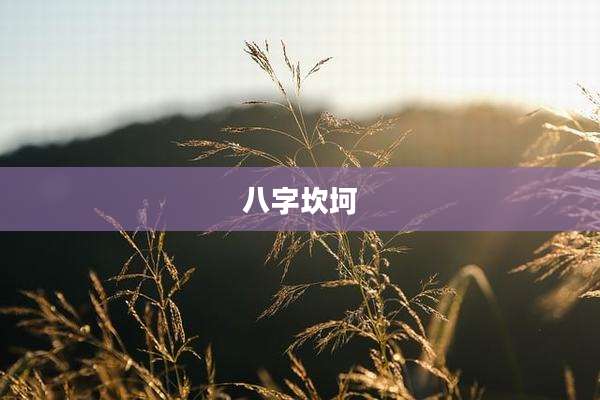 八字坎坷