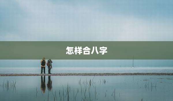 怎样合八字