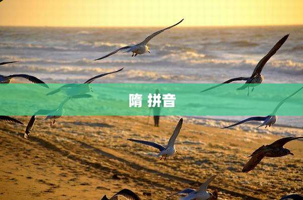 隋 拼音
