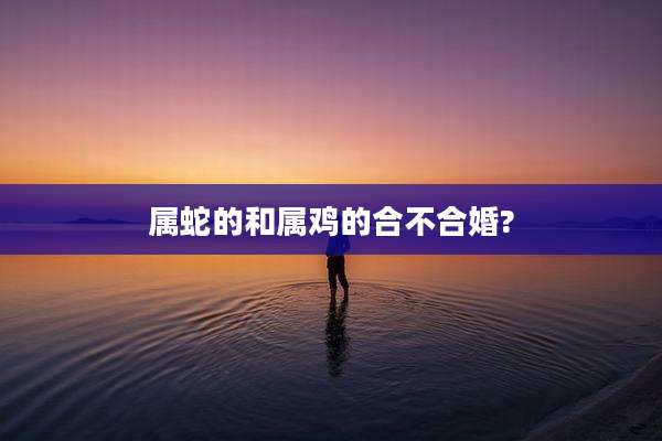 属蛇的和属鸡的合不合婚?