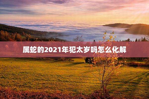 属蛇的2021年犯太岁吗怎么化解