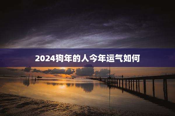 2024狗年的人今年运气如何