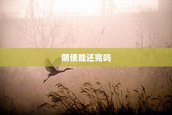 阴债能还完吗
