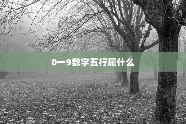 0一9数字五行属什么