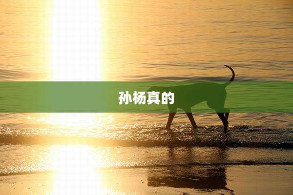 孙杨真的